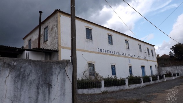 Cooperativa Agrícola das Matas, fundada a 21 de Abril de 1922, para vos falar um pouco da sua história. Esta é a cooperativa agrícola mais antiga de Portugal.